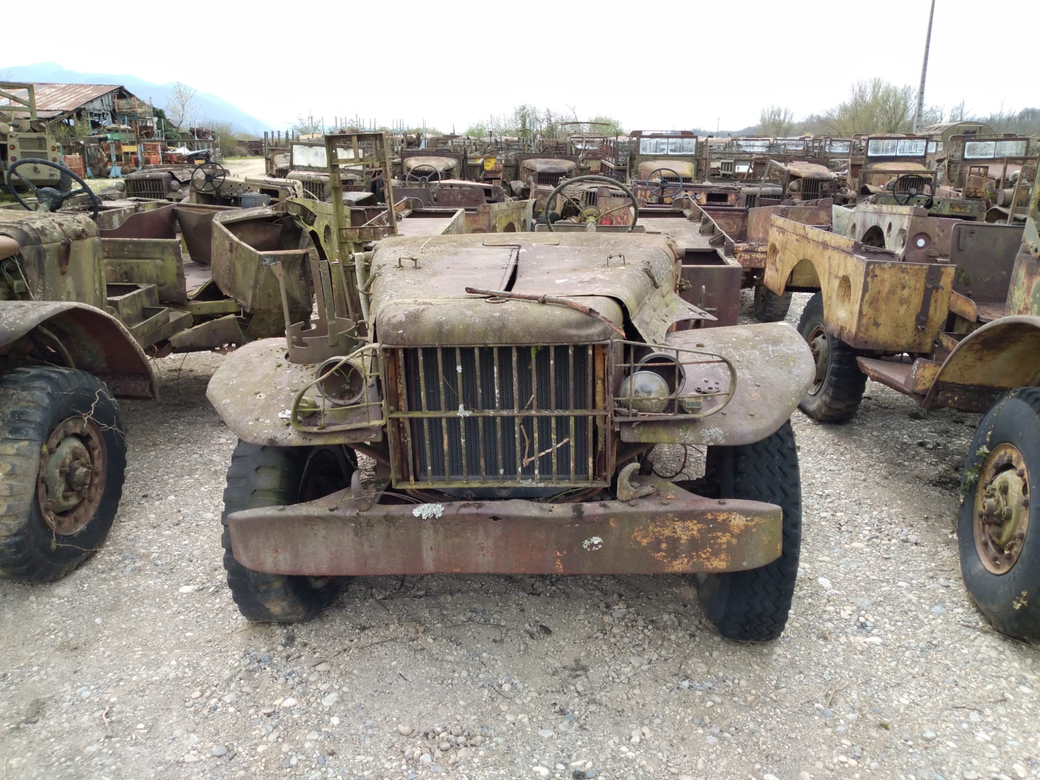 DODGE WC 51